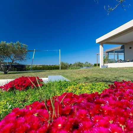 Boutique Diaporos Island - Treasure Cove Hotel *